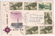 ISRAEL - 1954 - ENVELOPPE AIR FRANCE ILLUSTREE Par AVION De RAANANA => ST DIE DES VOSGES - Cartas & Documentos