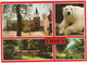 Emmen - (Drenthe, Nederland) - Nr. L 5696 - Dierenpark, Zoo: IJsbeer, Terras, Kerk - Emmen