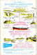 Delcampe - POST FREE UK - ISLES OF SCILLY-Guidebook-large Folding Map + Maps Of Other Islands + Illus/adverts.-72 P-see 10 Scans - Europa