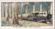 Empire Railways 1931  -  47 Karri Forest, West Australia - Churchman Cigarette Card - Original - Trains - Churchman
