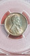 USA *1909 VDB* Lincoln Cent - Sammlungen