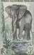 Delcampe - Aef France Elan De Derby Lion Elephant Grand Koudou Non Dentelés Kudu Imperfs Proofs Löwe Ungezähnt Leone Prueba ** 1957 - Big Cats (cats Of Prey)