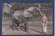 CPA éléphant Circulé Paris TOBY - Éléphants