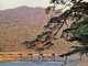 JAPAN - KYOTO - TOGETSUKYO BRIDGE / P128 - Kyoto