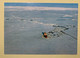 16243 -  Terre Adélie Le Thala Dan Dans La Banquise Janvier 1977 Carte Des EPF - TAAF : French Southern And Antarctic Lands