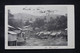 SIERRA LEONE - Affranchissement De Freetown Sur Carte Postale Pour La France En 1906 - L 111193 - Sierra Leone (...-1960)