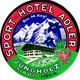 17 HOTEL LABELS AUSTRIA OOSTENRIJK ÖSTERREICH Drammen Wien Salzburg Garmsch Partenkirchen Arlberg Feldkirch Linz - Cappellini