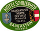 Delcampe - 17 HOTEL LABELS AUSTRIA OOSTENRIJK ÖSTERREICH Drammen Wien Salzburg Garmsch Partenkirchen Arlberg Feldkirch Linz - Caps