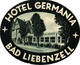 Delcampe - 17 HOTEL LABELS AUSTRIA OOSTENRIJK ÖSTERREICH Drammen Wien Salzburg Garmsch Partenkirchen Arlberg Feldkirch Linz - Cappellini