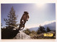 SWITZERLAND.. ADVERTISING  POSTCARD..FLIMS LAAX FALERA - Falera