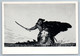 1959 CHAPAEV RKKA Hero RUSSIAN CIVIL WAR Cavalry Horse Attack USSR Postcard - Unclassified
