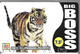 CARTE²-PREPAYEE-7.5€ BIG BOSS-TIGRE-31/12/2005-V° Blanc-Gratté-TBE - Dschungel