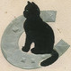 GB 1911 EVII ½d Harrison Printing On VF Embossed (cat = Felt) Postcard Rare Thimble 19mm „HONITON CLYST“ (Clyst Honiton) - Covers & Documents