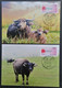 Taiwan R.O.CHINA - Maximum Card.- New Year’s Greeting ATM Stamps (4 Pcs) - Cartoline Maximum