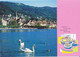 Schweiz Suisse 2004: "Zuger See" (Schwäne Cygnes Swans Cygnus) CPI Entier / Bild-PK Mit ET-o BERN 9.3.2004 - Cygnes