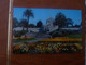 Conservatory Of Flowers - Golden Gate Park - C12110 - Editions Berkeley - Année 1979 - - San Francisco