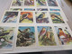 Collection Devant De Boîte D'allumettes Smatches X2 Planches Oiseaux Birds En Flamand - Matchboxes