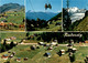 Riederalp - 4 Bilder (19205) - Riederalp