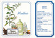 Plantes Médicinales Menthes Mentha Menthe Chaix CPM - Medicinal Plants