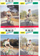 Fiches Cyclisme Avec Palmares - 1989 Equipe Cycliste Professionnelle R.M.O. (Travail Temporaire) 18 Coureurs + Staff - Wielrennen