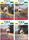 Fiches Cyclisme Avec Palmares - 1989 Equipe Cycliste Professionnelle R.M.O. (Travail Temporaire) 18 Coureurs + Staff - Ciclismo