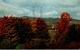 USA VERMONT AUTUMN COMES TO STOWE - Essex Junction