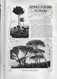 Delcampe - Viana Do Castelo - Vila Do Conde - China - Minho - Vizela - Ilustração Portuguesa Nº 151, 1909 (danificada) - General Issues