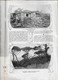 Delcampe - Viana Do Castelo - Vila Do Conde - China - Minho - Vizela - Ilustração Portuguesa Nº 151, 1909 (danificada) - General Issues