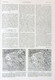 Delcampe - L'ILLUSTRATION N° 4543 29-03-1930 CLEMENCEAU FOCH RICHELIEU PAUL HUET DEHLI MOISSAC HOLMENKOLLEN ROMANS DELAHAYE - L'Illustration