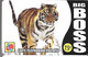 CARTE-PREPAYEE-7.5€ BIG BOSS-TIGRE-31/12/2005-V° Blanc/et 2 Cadre Noirs-Gratté-TBE - Dschungel