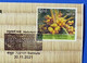 India 2021 Madurkathi Mat Bankura - Craft Household Plant Nature - Cover (**) Inde Indien - Lettres & Documents