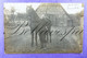 Pferd Militar ? Avril 1917 Bramstedt  Fotograf Photo C. Ahlring Bassum Niedersaksen Germany - Paarden