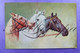 Fantasie Cheval Horse Painting Edit. PELUBA  Serie N°204 Printed Germany _ 2 X CPA - 1900-1949