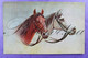 Fantasie Cheval Horse Painting Edit. PELUBA  Serie N°204 Printed Germany _ 2 X CPA - 1900-1949