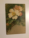 Carte Postale Ancienne Signée Catharina Klein Fleurs D’églantier - Klein, Catharina