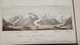 Delcampe - Album Svizzera Suisse Schweiz Alpi 1862 (autografo) Aosta Chamonix Righi Monte Bianco Interlaken Grindelwald Montavert - Estampes & Gravures