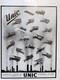 Delcampe - L'ILLUSTRATION N° 4539 01-03-1930 CHASSEURS ALPINS POINCARÉ ORGUE VALBONNE LINDBERGH AUTOCHENILLE BEDEILHAC MUENCHE - L'Illustration