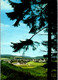 22773 - Deutschland - Winterberg , Hochsauerland , Blick Auf Die Stadt Mit Ursulinen Kloster - Gelaufen 1976 - Winterberg