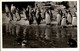 23135 - Deutschland - Hamburg , Carl Habenbeck 's Tierpark , Hamburg Stellingen , Humboldt Pinguine - Gelaufen 1953 - Stellingen