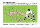 BASEBALL Cartolina - 1° Campionato Italiano Di Baseball Giocato Da Ciechi - Base-Ball