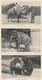 THE ZOOLOGICAL SOCIETY OF LONDON LOT 6 CARTES - Other & Unclassified
