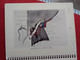 Delcampe - LIBRO ILLUSTRATIONS OF REGIONAL ANATOMY E. B. JAMIESON, M. D. SECTION IV PELVIS, E. & S. LIVINGSTONE LTD., EDINBURGH.... - Otros & Sin Clasificación