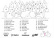 Fiche Cyclisme - Equipe Cycliste Allemagne: Team Deutsche Telekom 1996 Avec Noms Des Coureurs Et Staff - Sport