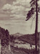 CPH 001 / 20 ** - Bildpostkarte - Region Turnau - 1949 / Turnovsko - Non Classificati