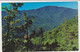 AK 018653 USA - Tennessee - Smoky Mountains - Mount LeConte - Smokey Mountains