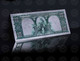 USA - Polymer 10$ 'Bison' Banknote - Completely Silver Laminated - UNC & CRISP - Colecciones Lotes Mixtos