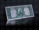 USA - Polymer 10$ 'Bison' Banknote - Completely Silver Laminated - UNC & CRISP - Collections
