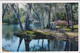 AK 019316 USA - Florida - Silver Springs - Silver Springs