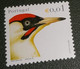 Portugal - 2002 - Xxxx - Gestempeld - Cancelled - 2 X Vogels - Peto Verde - Abelharuco - Gebraucht