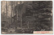 LUXEMBOURG / 1909 AMBULANT ECHTERNACH - ETTELBRUCK  SUR CARTE POSTALE ==> FRANCE / BAHNPOST (ref 8750c) - 1906 Wilhelm IV.